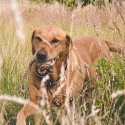 Beco Hondenspeelgoed Hennep Touwbal M (6,5X26 Cm)