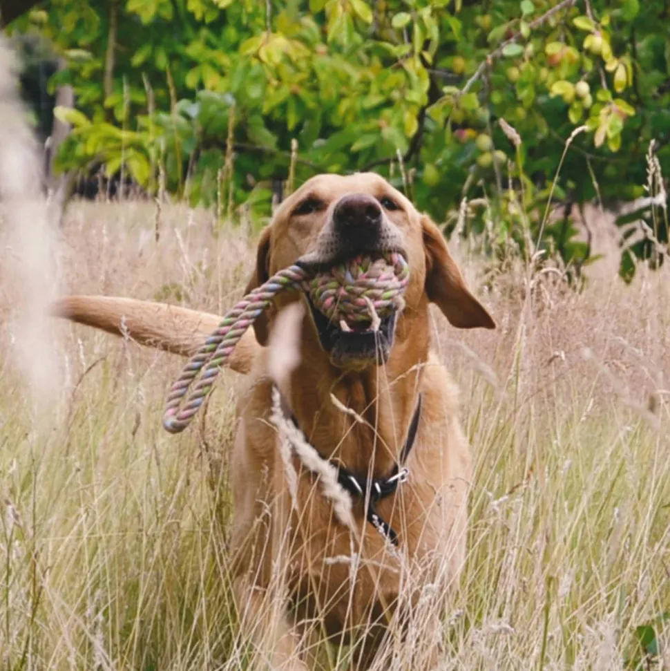 Beco Hondenspeelgoed Hennep Touwbal M (6,5X26 Cm)