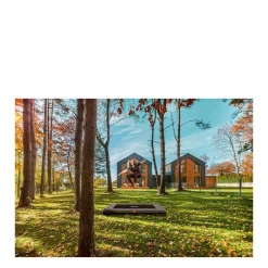 Berg Ultim Favorit Inground Trampoline 280X190 Cm