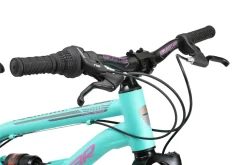 Bikestar Mtb Kinderfiets 20 Inch Mint