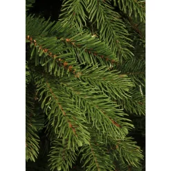Black Box Trees Kerstboom Brampton (H230Xo147 Cm)