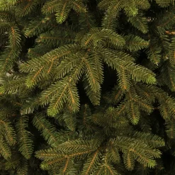 Black Box Trees Kerstboom Macallan (H185 X O127 Cm)