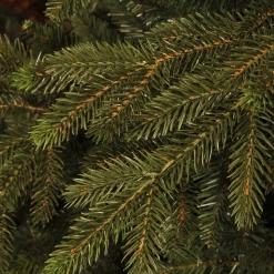 Black Box Trees Kerstboom Macallan (H185 X O127 Cm)