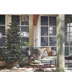 Black Box Trees Kerstboom Macallan (H185 X O127 Cm)