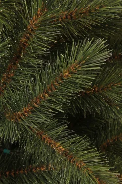 Black Box Trees Kerstboom Toronto (H185 X O114 Cm)