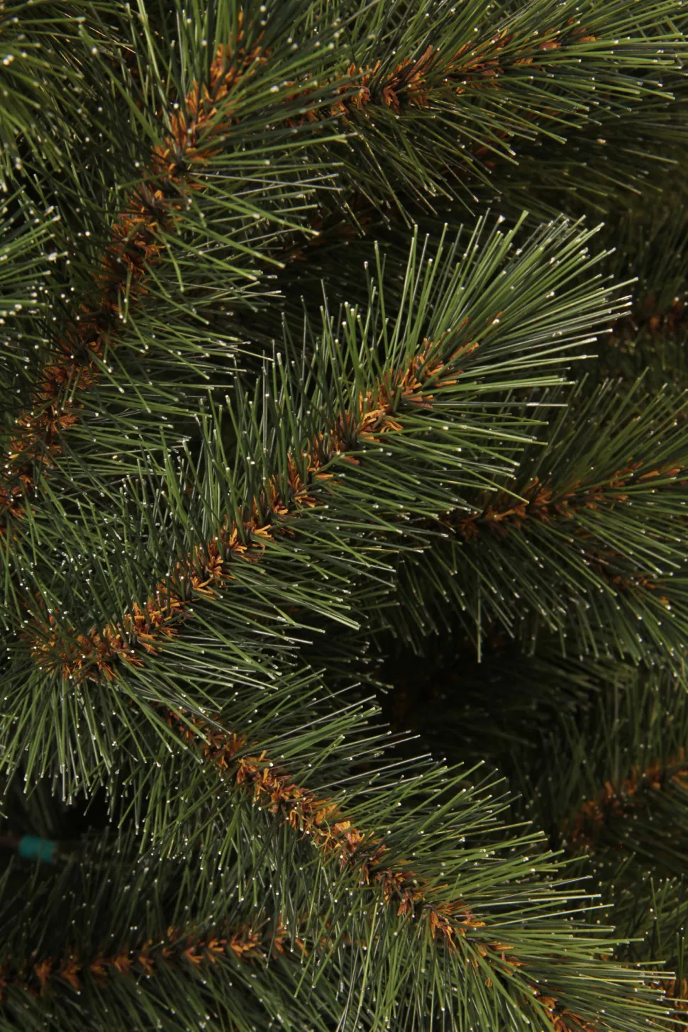 Black Box Trees Kerstboom Toronto (H185 X O114 Cm)