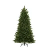 Black Box Trees Kerstboom Toronto (H230Xo140 Cm)