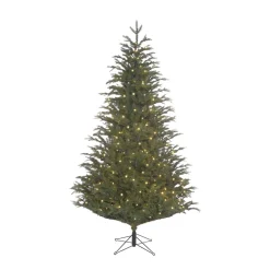 Black Box Trees Verlichte Kerstboom Frasier (H185 X O124 Cm)