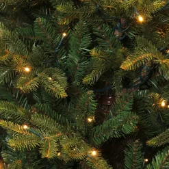 Black Box Trees Verlichte Kerstboom Frasier (H185 X O124 Cm)