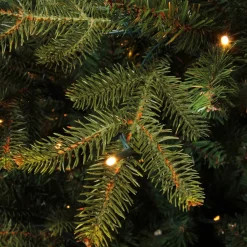 Black Box Trees Verlichte Kerstboom Frasier (H185 X O124 Cm)