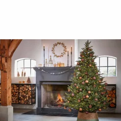 Black Box Trees Verlichte Kerstboom Frasier (H185 X O124 Cm)