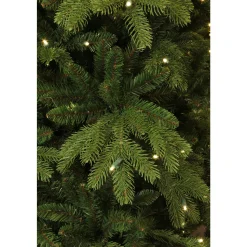 Black Box Trees Verlichte Kerstboom Brampton (H230Xo147 Cm)