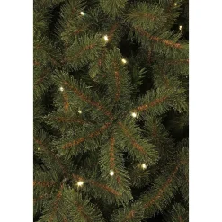 Black Box Trees Verlichte Kerstboom Toronto (H230Xo140 Cm)