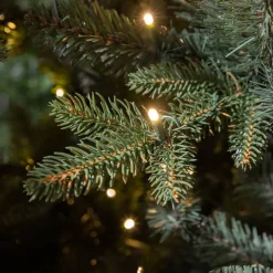 Black Box Trees Verlichte Kerstboom Elkins (H185 X O104 Cm)