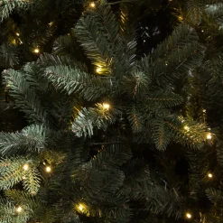 Black Box Trees Verlichte Kerstboom Elkins (H185 X O104 Cm)