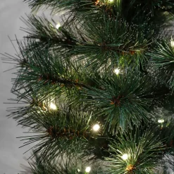 Black Box Trees Verlichte Kerstboom Sotka (H185 X O66 Cm)