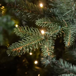 Black Box Trees Verlichte Kerstboom Elkins (H230 X O132 Cm)