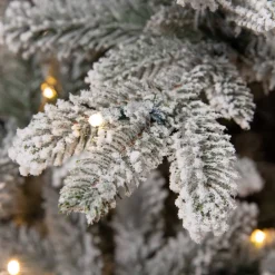 Black Box Trees Verlichte Kerstboom Frasier (H215 X O145Cm)