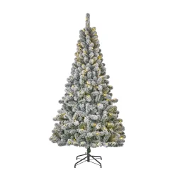 Black Box Trees Verlichte Kerstboom Millington (H185 X O109 Cm)