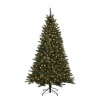 Black Box Trees Verlichte Kerstboom Toronto (H215Xo132 Cm)