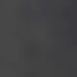 Brabantia Bo Prullenbak (2X30L) (Afvalscheiding)