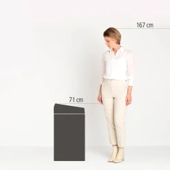 Brabantia Touch Bin Prullenbak (60L)