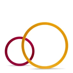 Bs Toys 5 Hoepelspellen