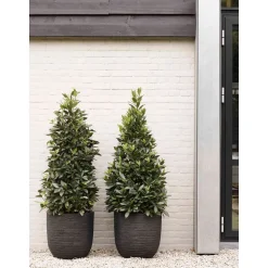 Capi Bloempot Nature Row (O43X41 Cm)