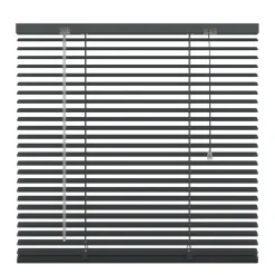 Decosol Jaloezie Kant En Klaar Aluminium Jaloezie (100 X 180 Cm)