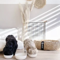 District 70 Bamboo Hond Voerbak - L - Merengue