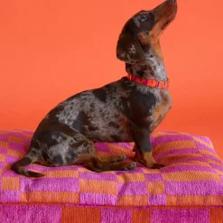 Dogguo Hondenkussen Jacquard Blok Patroon Oranje En Magenta Maat L
