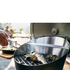 Hofats Cone Barbecue (Houtskool)