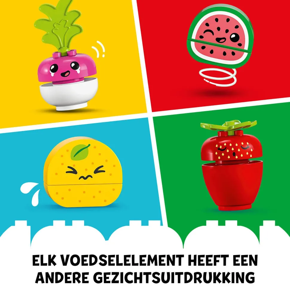 Lego Duplo Biomarkt 10983