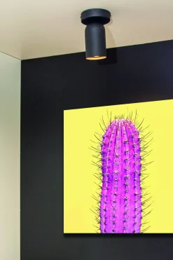 Lucide Wandspot Punch