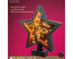 Lumineo Micro Ster Op Poot (40 Led)