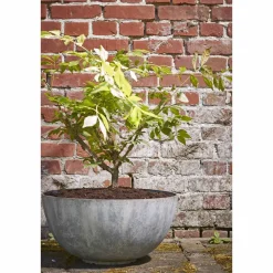 Mica Decorations Bloempot Bravo (O55 Cm)