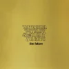 Nathaniel Rateliff & The Night Sweats - The Future (Lp)