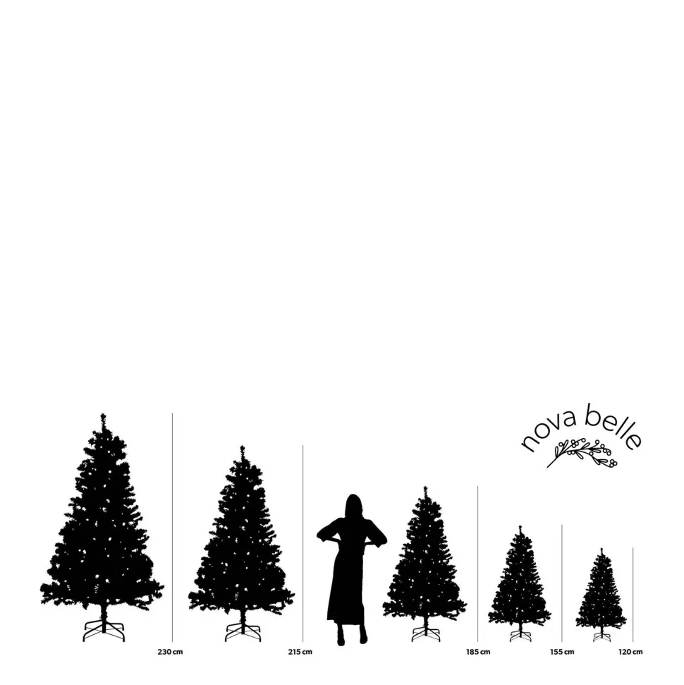 Nova Belle 2 Verlichte Buiten Kerstbomen En Krans Fraser (H95 X O55 Cm)