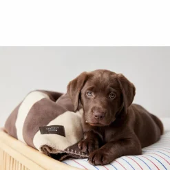 Oyoy Zoo Honden / Katten Plaid Kaya (100X80 Cm)