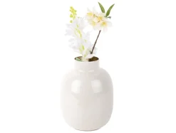 Present Time Vaas Mila