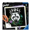 Ravensburger Pixie Cold Edition Raccoon - Schilderen Op Nummer Voor Volwassenen
