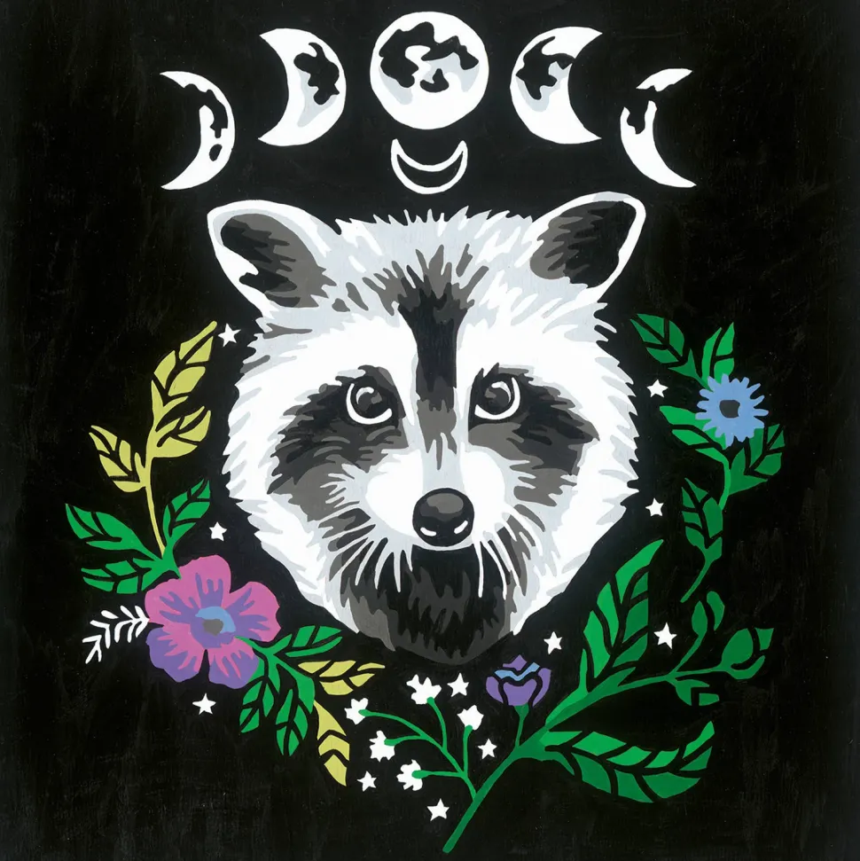 Ravensburger Pixie Cold Edition Raccoon - Schilderen Op Nummer Voor Volwassenen