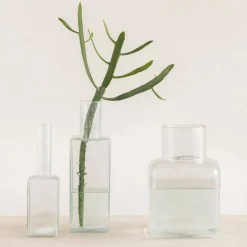 Urban Nature Culture Vaas Veli