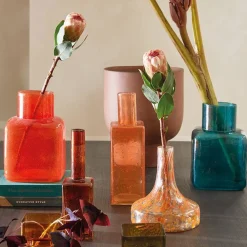 Urban Nature Culture Vaas Elia