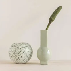 Urban Nature Culture Vaas Livio