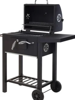 Vaggan Houtskoolbarbecue