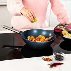 Westinghouse Pannenset