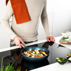 Westinghouse Pannenset