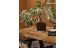 Woood Eettafel Tablo Mango