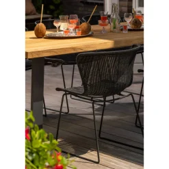 Woood Eettafelstoel Wings - Set Van 2